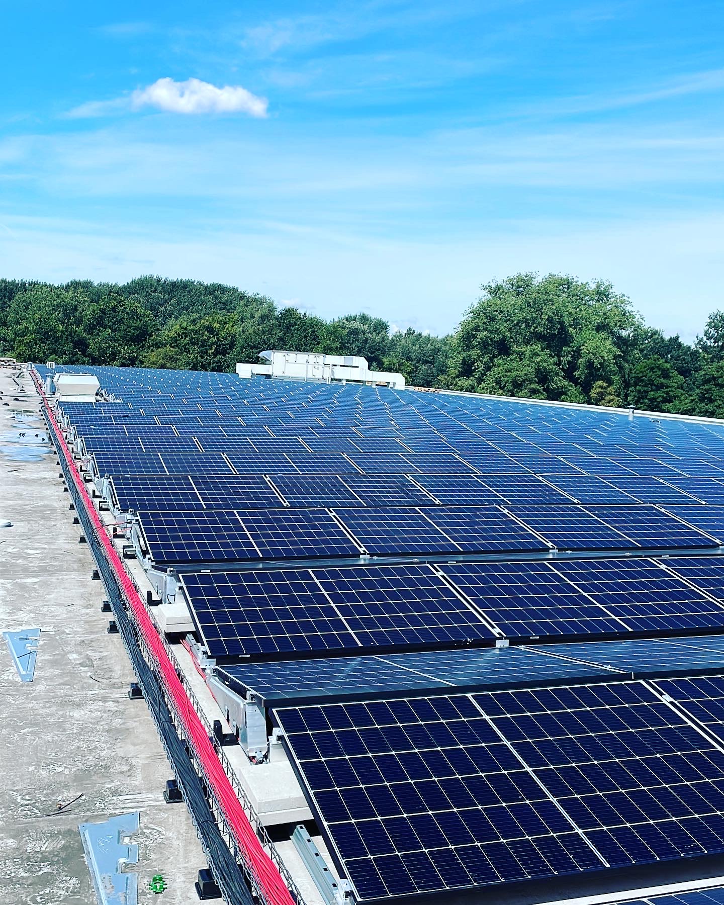 Working Towards A Sustainable World 2