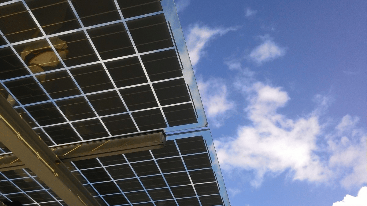Working Towards A Sustainable World 3